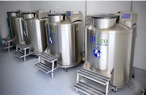 mve液氮罐 mve液氮罐