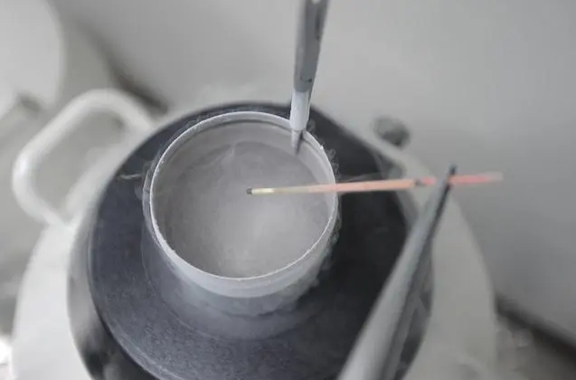 細胞凍存 細胞凍存