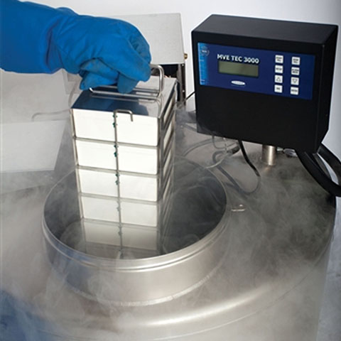 氣相液氮罐監控系統