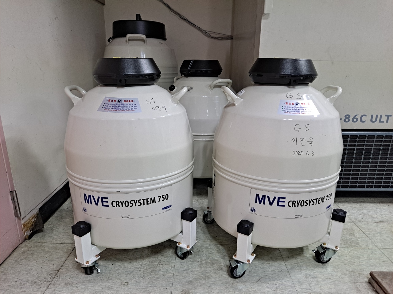mve cryosystem mve cryosystem