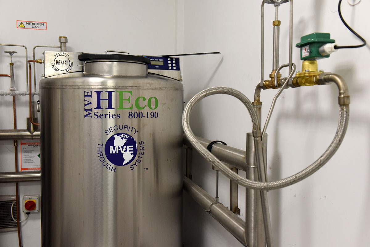 氣相液氮罐 氣相液氮罐