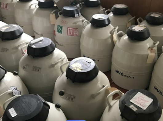 mve液氮罐 mve液氮罐